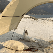 Classic Cabana's - Luck + Lemons